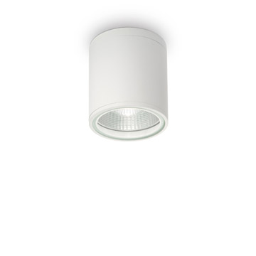 Ideal Lux 122663 GUN PL1 BIANCO уличный потолочный светильник белый