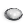 Иконка Ideal Lux 061818 MIKE AP1 BIG ANTRACITE уличный накладной светильник 