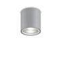 Иконка Ideal Lux 163642 GUN PL1 GRIGIO уличный потолочный светильник 