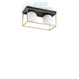 Иконка Ideal Lux 198149 LINGOTTO PL2 потолочный светильник 